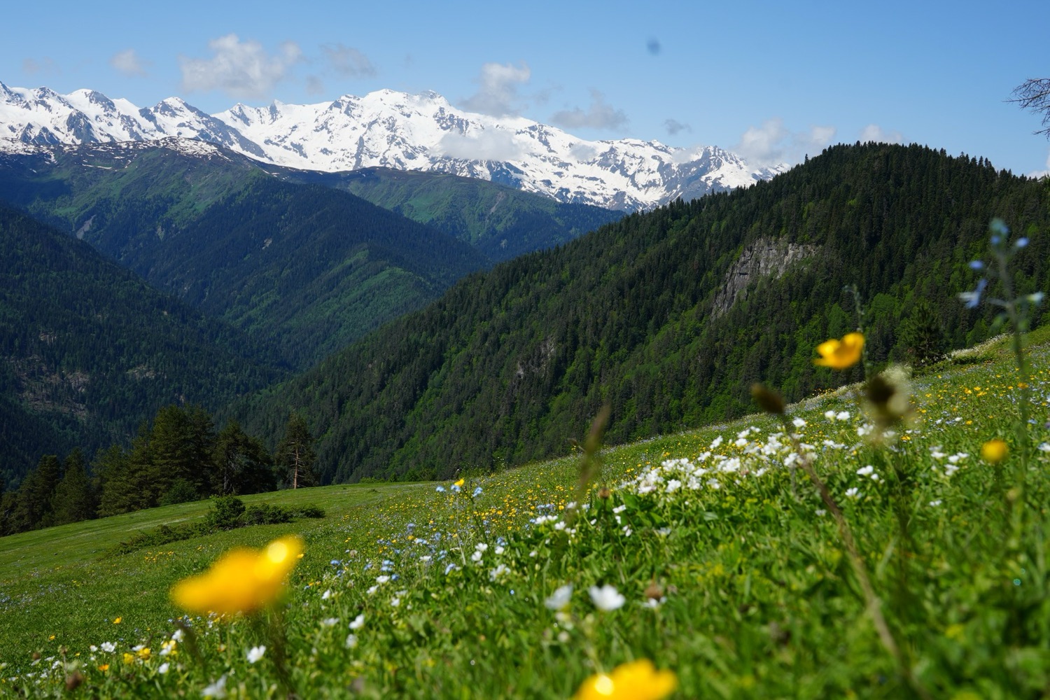 Mestia–Ushguli 4 日穿越